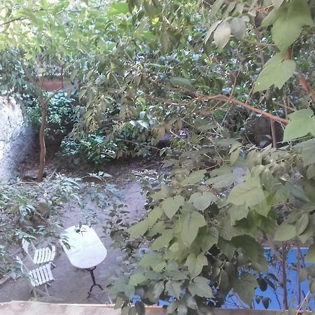 Appartement Centre Vue Jardin Нарбон Екстериор снимка